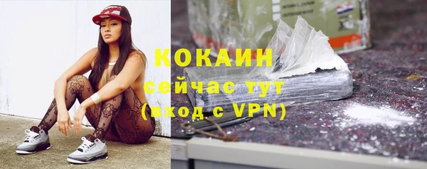ALPHA PVP Осинники