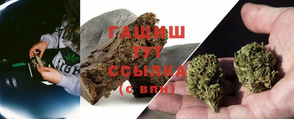 ALPHA PVP Осинники