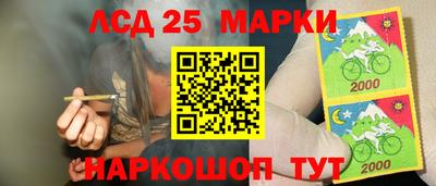 спиды Гатчина