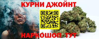 спиды Гатчина