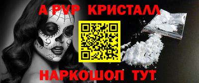 спиды Гатчина