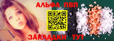 спиды Гатчина