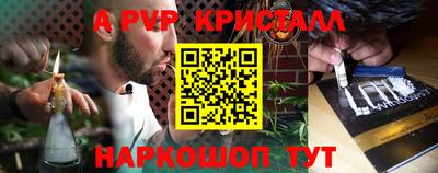 спиды Гатчина