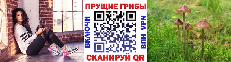 Псилоцибиновые грибы Magic Shrooms Тольятти