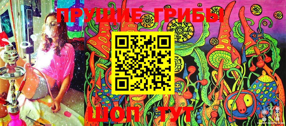 Псилоцибиновые грибы Cubensis Тольятти